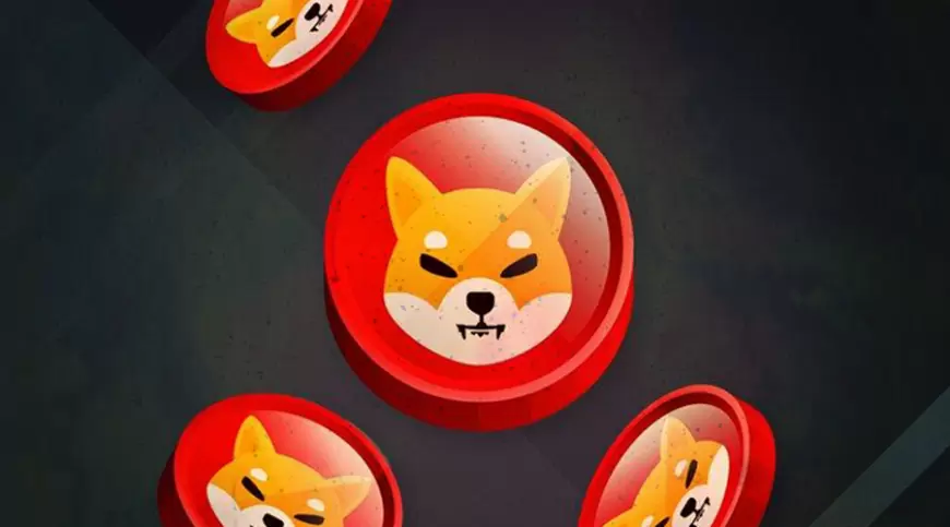 Is Shiba Inu Dead? Exploring the Future of the Shiba Inu Token